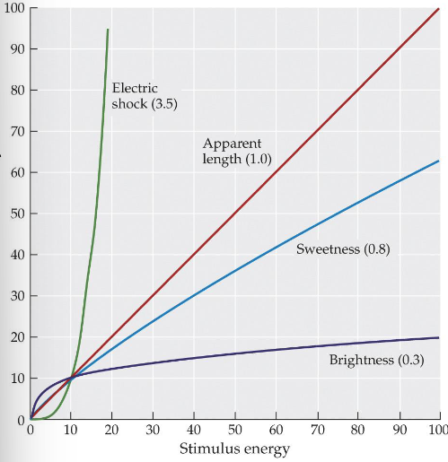 <p>S=aI^b</p><p>S = sensation</p><p>I = intensity of stimulus</p><p>b = exponent tied to stimulus type</p><p>a = constant adjusted to put different scales on the same axis</p>