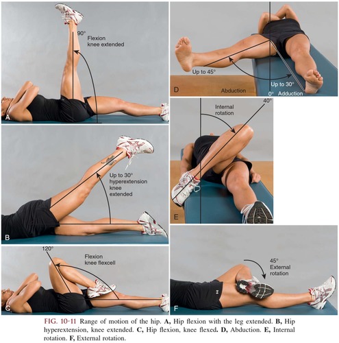 <p>abbreviated ROM; complete extent of movement of which a joint is normally capable</p>
