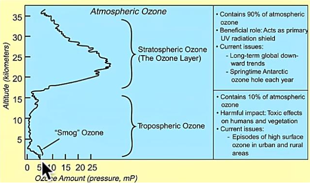 <p><span><span>In the stratosphere, ozone is produced naturally where it blocks harmful ultraviolet rays from the sun.</span></span></p>