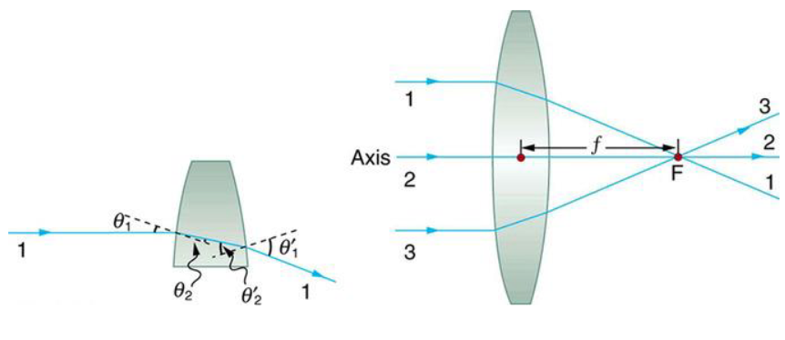 <p>rays entering the lens parallel to ground exit at an angle, rays entering at an angle exit parallel to ground parallel and the rays get refracted to the focal point and back out, all upside down<br>light entering the lens at the optic center will not be refracted</p>