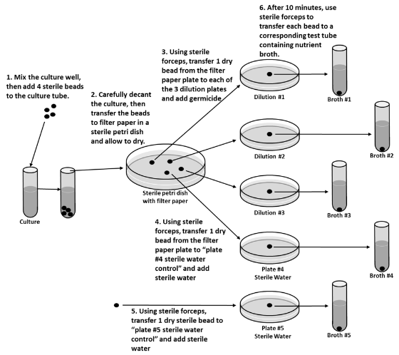 The use-dilution test is commonly used to determine a chemical’s disinfection effectiveness on an inanimate surface in clinical settings