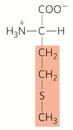 <p>Nonpolar, aliphatic</p>