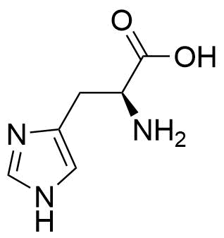 <p>amino acid</p>