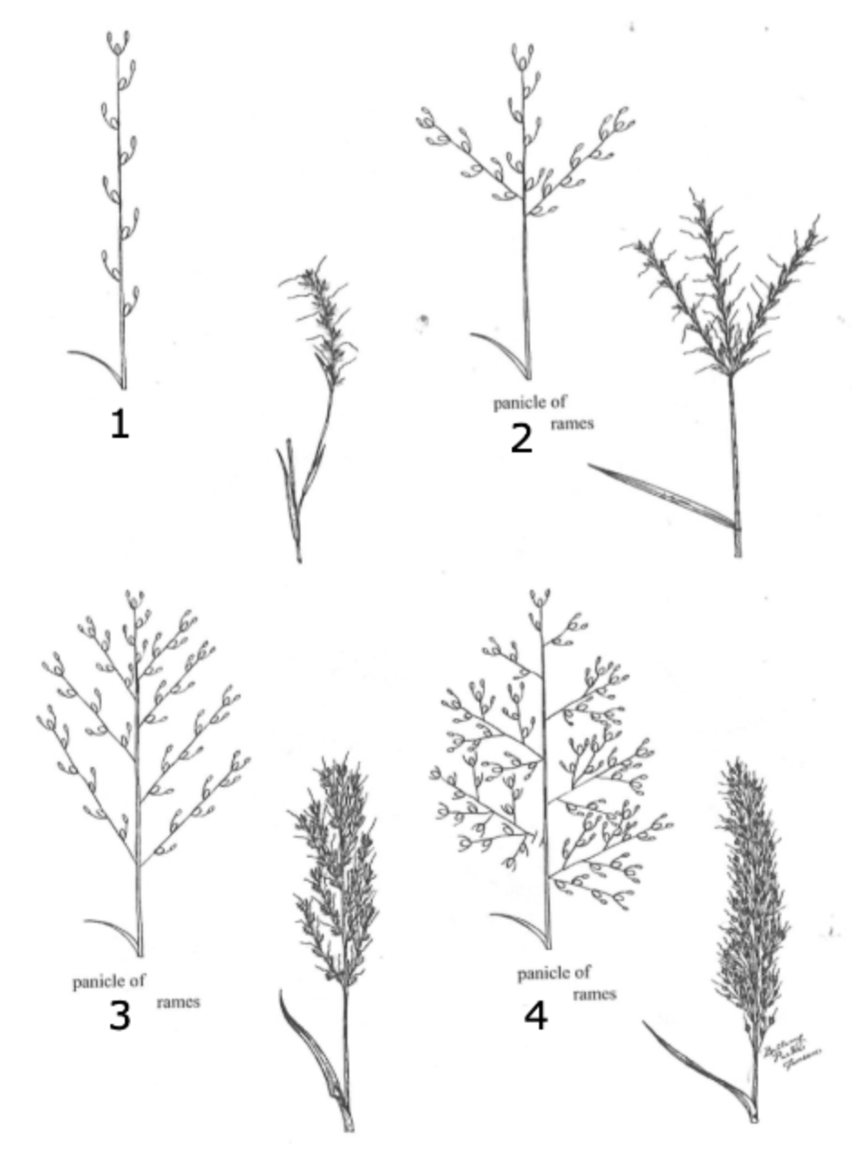 <p>what is 1?</p>