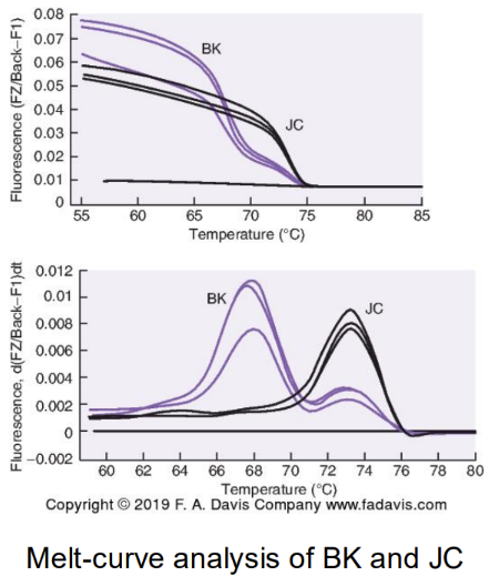 <p><span style="font-family: "Times New Roman", serif; line-height: 107%;"><span>Detection</span></span></p><p class="MsoListParagraphCxSpFirst"><span style="line-height: 107%;"><span>-</span></span><span style="font-family: "Times New Roman"; line-height: normal; font-size: 7pt;"><span> </span></span><span style="font-family: "Times New Roman", serif; line-height: 107%;"><span>Transmission of these viruses is not well known; studies suggest the feco-oral and respiratory routes, as well as through other body fluids, including blood and semen</span></span></p><p class="MsoListParagraphCxSpMiddle"><span style="line-height: 107%;"><span>-</span></span><span style="font-family: "Times New Roman"; line-height: normal; font-size: 7pt;"><span> </span></span><span style="font-family: "Times New Roman", serif; line-height: 107%;"><span>Molecular detection of BK can be done using urine or blood</span></span></p><p class="MsoListParagraphCxSpMiddle"><span style="line-height: 107%;"><span>-</span></span><span style="font-family: "Times New Roman"; line-height: normal; font-size: 7pt;"><span> </span></span><span style="font-family: "Times New Roman", serif; line-height: 107%;"><span>JC molecular detection includes analysis of CSF and less frequently, brain biopsies</span></span></p><p class="MsoListParagraphCxSpMiddle"><span style="line-height: 107%;"><span>-</span></span><span style="font-family: "Times New Roman"; line-height: normal; font-size: 7pt;"><span> </span></span><span style="font-family: "Times New Roman", serif; line-height: 107%;"><span>Gene target for both BK and JC is the large T protein, although needs to be very specific</span></span></p><p class="MsoListParagraphCxSpMiddle"><span style="font-family: "Courier New"; line-height: 107%;"><span>o</span></span><span style="font-family: "Times New Roman"; line-height: normal; font-size: 7pt;"><span> </span></span><span style="font-family: "Times New Roman", serif; line-height: 107%;"><span>BK, JC, and SV40 (primate counterpart) share sequence homology</span></span></p><p class="MsoListParagraphCxSpLast"><span style="line-height: 107%;"><span>-</span></span><span style="font-family: "Times New Roman"; line-height: normal; font-size: 7pt;"><span> </span></span><span style="font-family: "Times New Roman", serif; line-height: 107%;"><span>qPCR and multiplex PCR assays have been developed for successful amplification and detection</span></span></p>