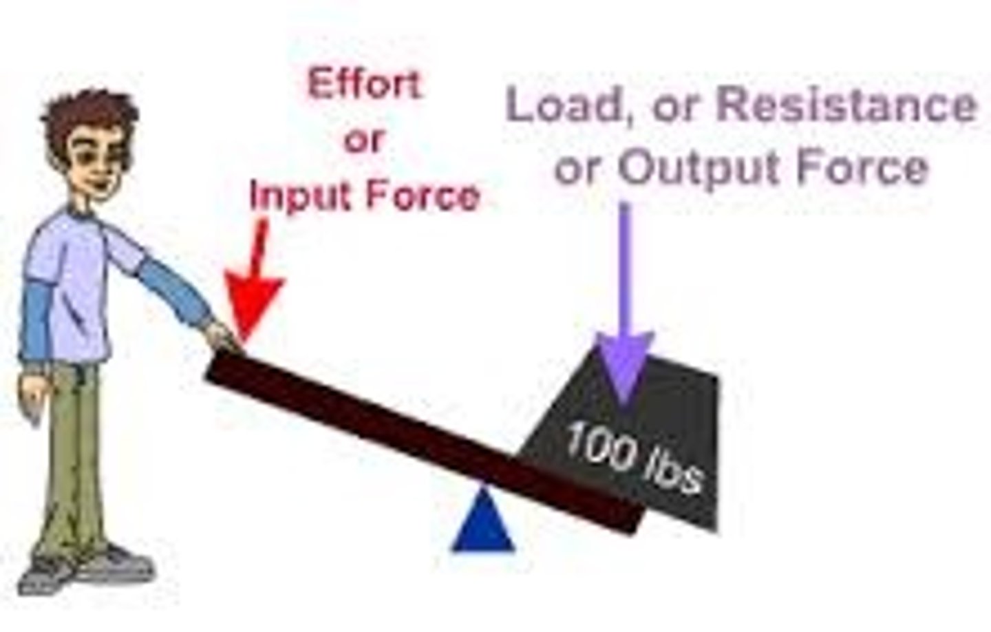 <p>resources used in the production process</p>