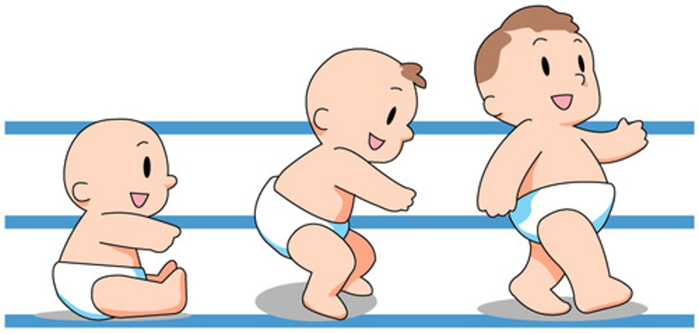 <p>The process of orderly change that an individual goes through in the formation of structure.</p>