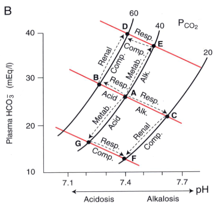 <p>shows relationship between pH, HCO3-, and PCO2</p><p>BAC line shows relationship between HCO3- and pH as carbonic acid is added to whole blood—buffer line</p><p>slope is steeper than for plasma alone because Hb has its own buffering capacity</p><p>increased [HCO3-] displaces line upward, base excess line D-E</p><p>decreased [HCO3-] displaces line downward, base deficit line G-F</p>