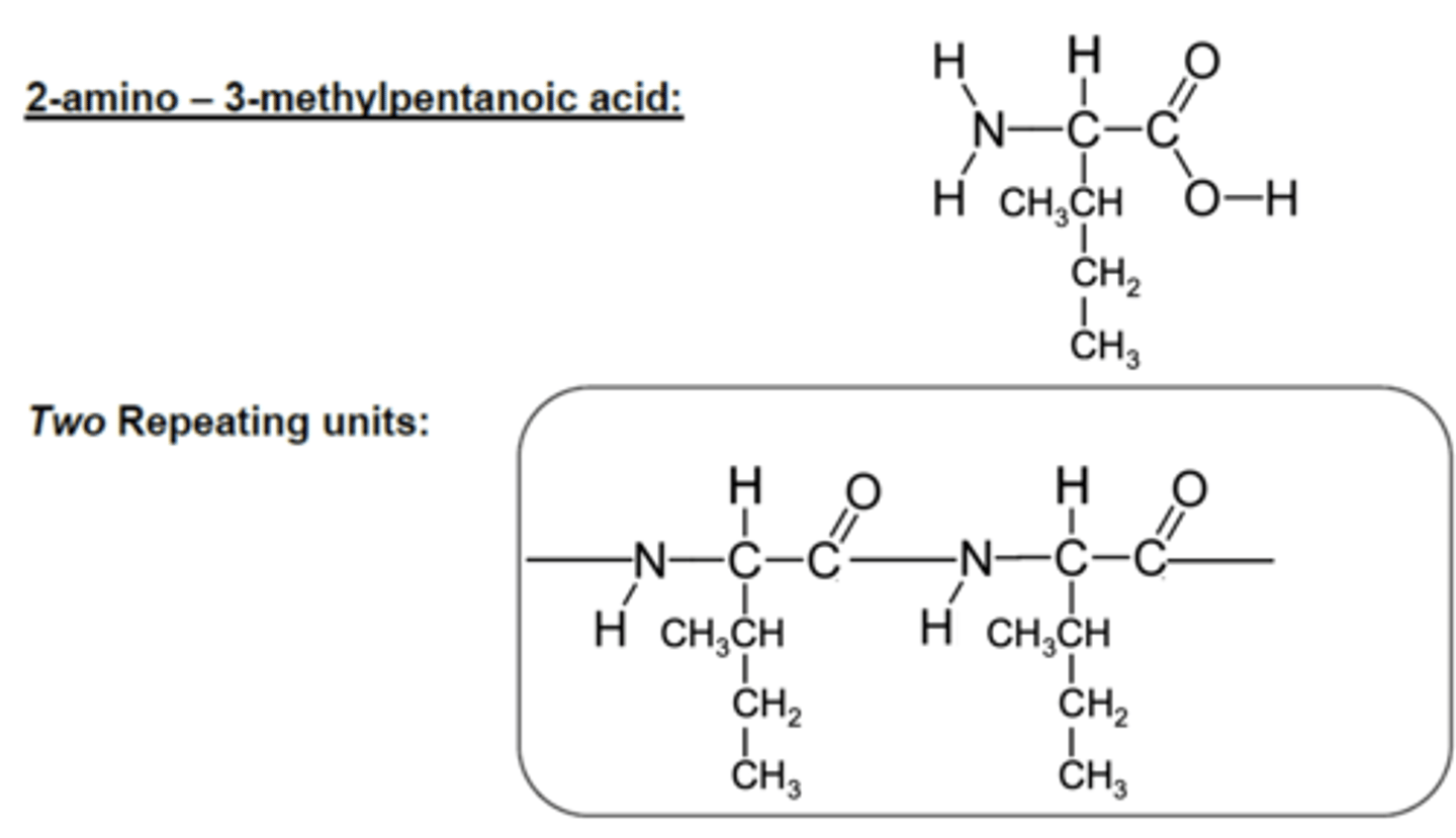 <p>ONLY ONE MONOMER</p>
