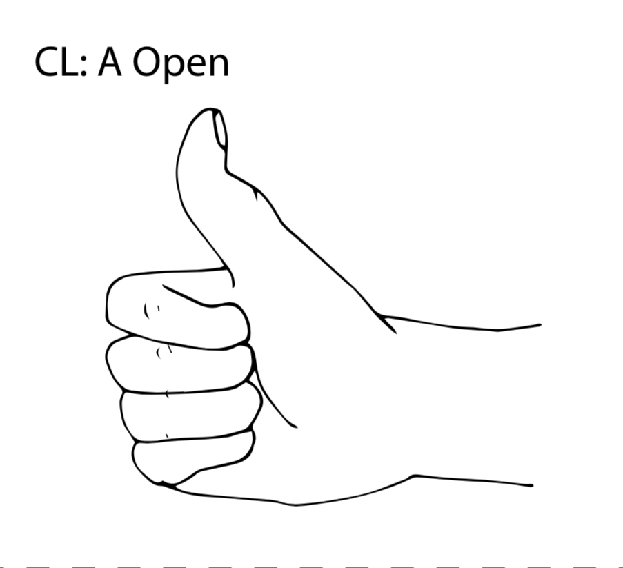 <p>What is a CL: A Open classifier?</p>