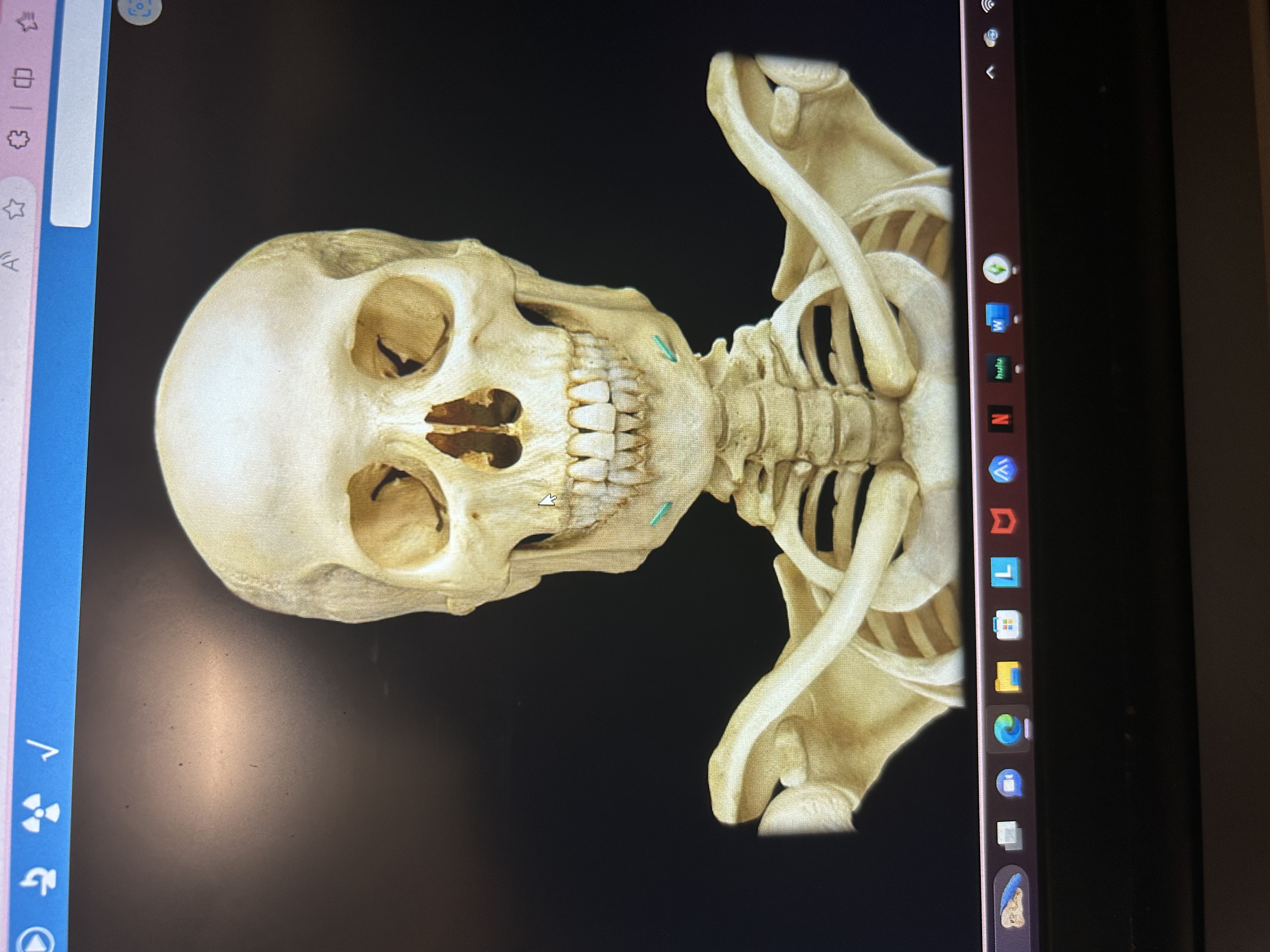 knowt flashcard image
