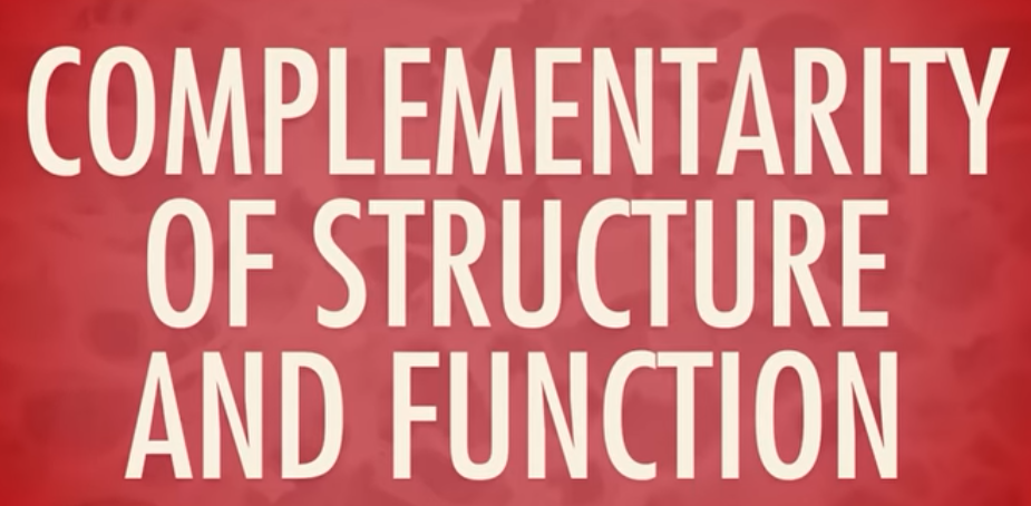 <p>Complementarity of Structure and Function</p>