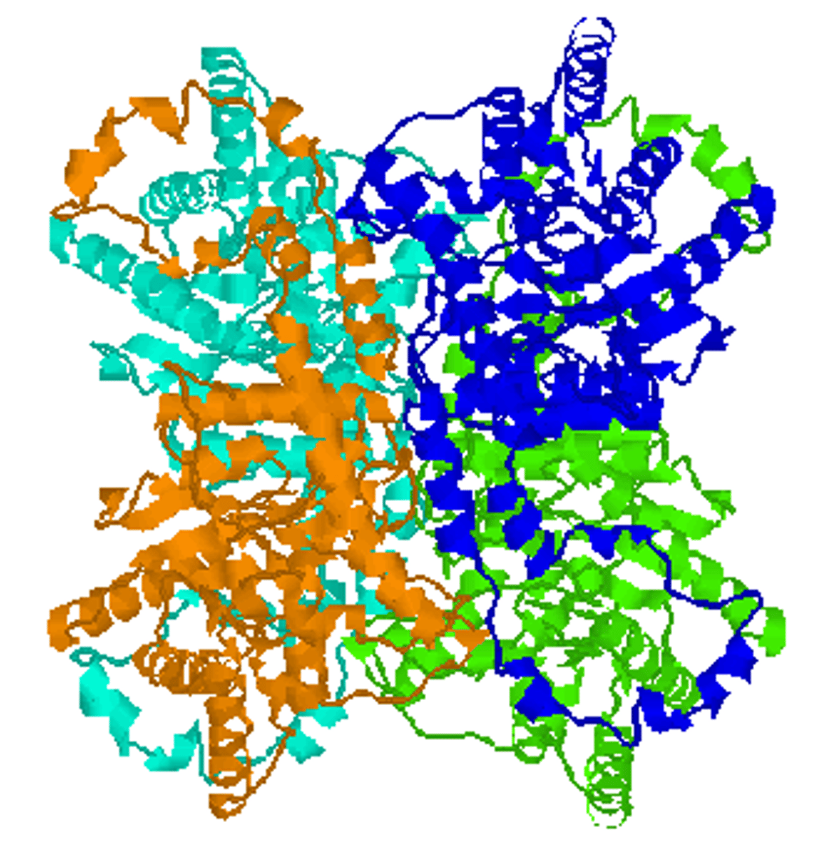 <ul><li><p>has 2 or more polypeptide chains</p></li><li><p>has prosthetic groups</p></li><li><p>forms conjugated proteins</p></li></ul><p></p>