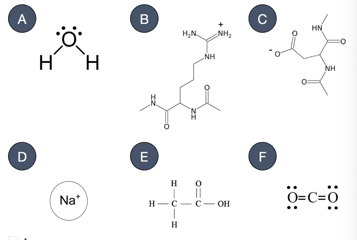 <p><span>Which of the following molecules can participate in&nbsp;</span><strong>Ionic Interactions</strong><span>?</span></p>