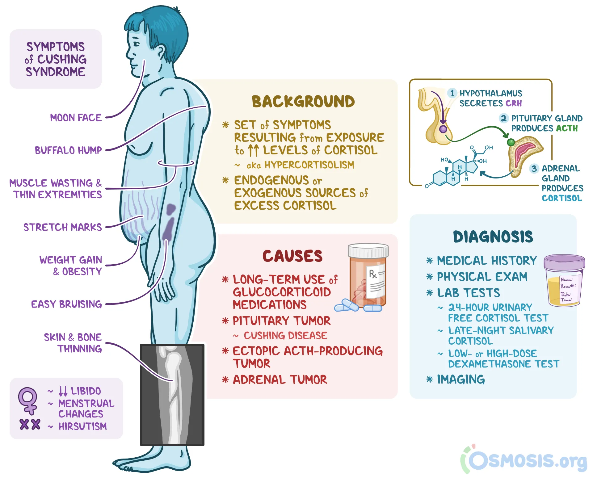 <p>What do these symptoms represent?</p>