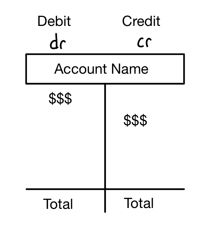 <p>Ledger accounts, aka __________ summarize information from the journal entries.</p>