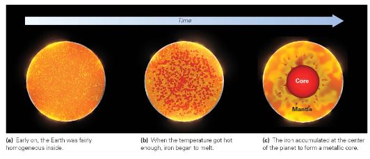 <p>Denser elements accumulated at the center of the planet to create the core &amp; lighter elements remained toward the surface. </p>