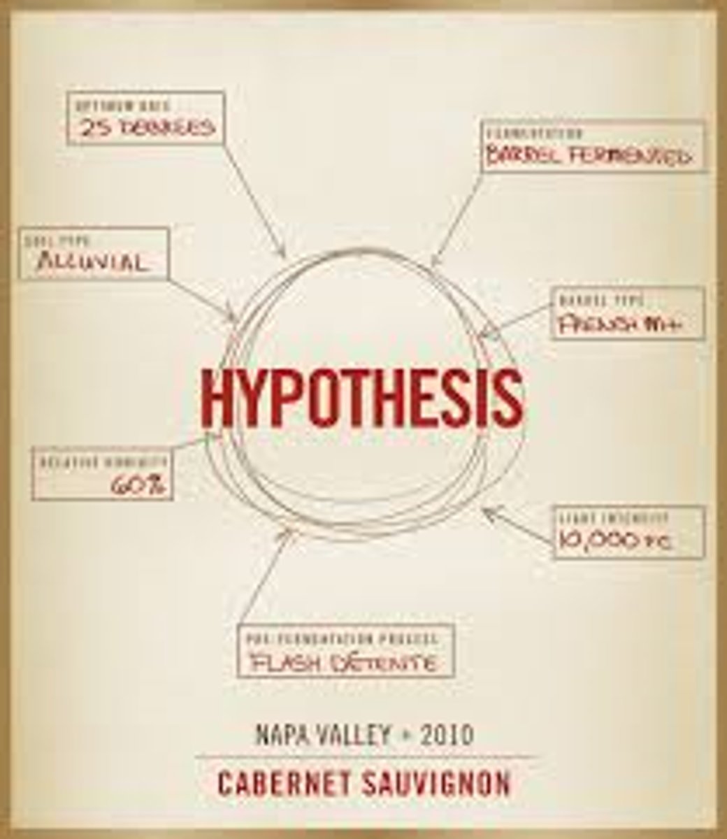 <p>hypothesis</p>