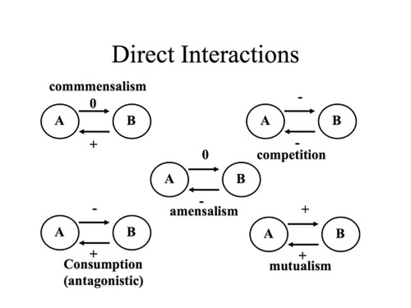 <p>direct, that's all the definition is lowkey (ex. competition, predation, facilitation, etc.)</p>