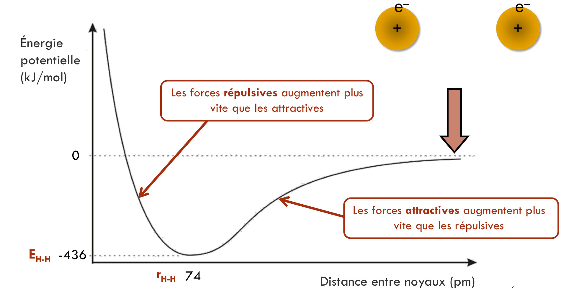 <p>Représentation de la diminution de l'énergie potentielle par rapport a la distance entre les noyaux lors de la formation d'une liaison covalente.</p>