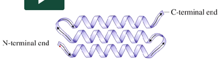 <p>What structure is this?</p>