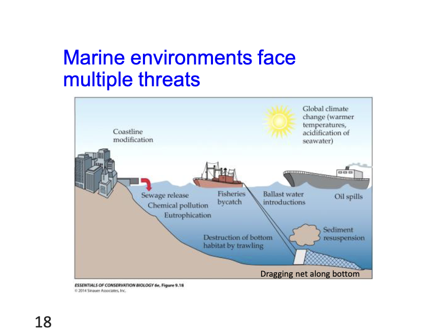 <ul><li><p>coastline modification</p></li><li><p>sewage release chemical pollution eutrophication</p></li><li><p>fishers bycatch</p></li><li><p>Destruction of habitat by trawling</p></li><li><p>oil spoils </p></li><li><p>global climate change</p></li></ul><p></p>