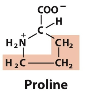 <ul><li><p>Pro, P</p></li><li><p>Nonpolar, aliphatic </p></li></ul><p></p>