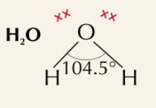 2 bonding pairs, 2 lone pairs, bonding angle of 104.5˚