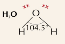 <p>2 bonding pairs, 2 lone pairs, bonding angle of 104.5˚</p>