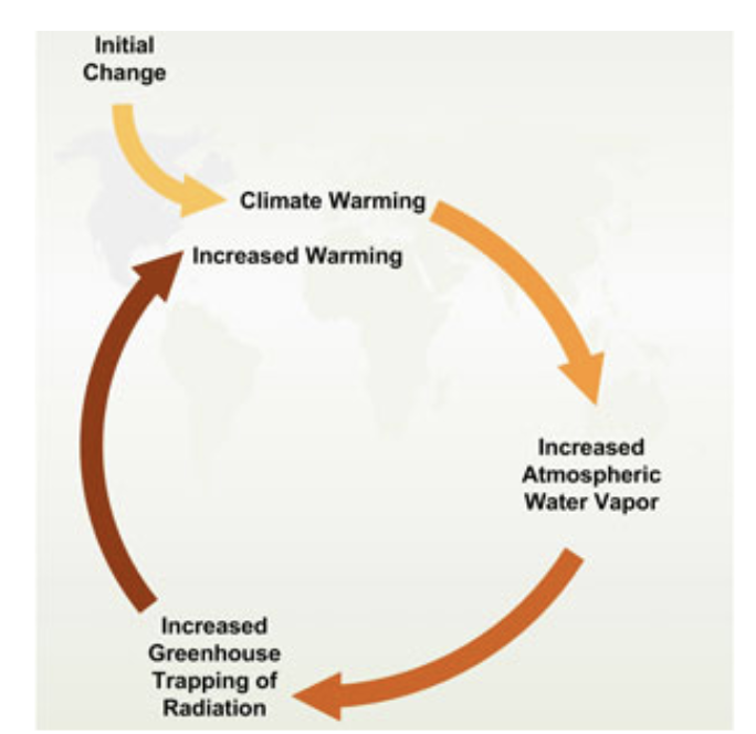 <p>-the ending is worse than the beginning </p><p>-normally result in some sort of tipping point </p><p>-(<span><strong>&nbsp;Positive feedback loops occur when a disturbance leads to an amplification of that disturbance, destabilizing the system and driving it away from its equilibrium.)</strong></span></p>