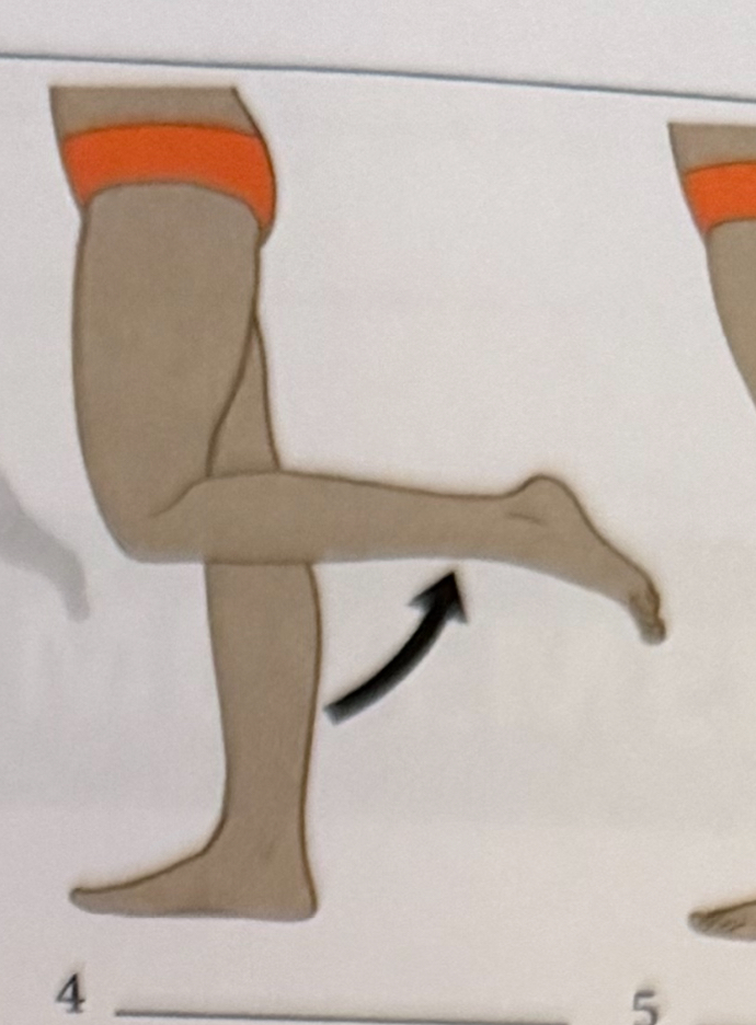 <p>increasing the angle of a joint</p>