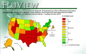 <p>a widespread occurrence of an infectious disease in a community at a particular time.</p>