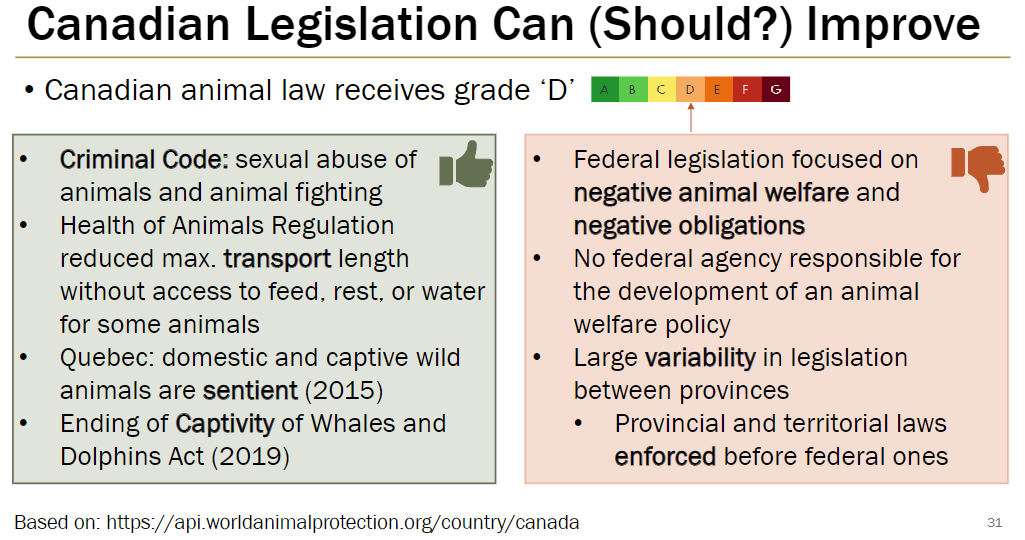 <p><strong>Grade</strong><br> Canadian animal law receives a “D”</p><p><strong>Positive</strong><br> Criminal Code addresses sexual abuse of animals and animal fighting<br> Health of Animals Regulation reduced maximum transport time for some animals without feed, water, or rest<br> Quebec (2015) recognizes domestic and captive wild animals as sentient<br> Ending of Captivity of Whales and Dolphins Act (2019)</p><p><strong>Negative</strong><br> Federal legislation focuses on preventing harm rather than promoting positive welfare<br> There’s no federal agency responsible for developing a national animal welfare policy<br> Legislation varies widely between provinces and territories<br> Provincial and territorial laws are enforced before federal laws</p>