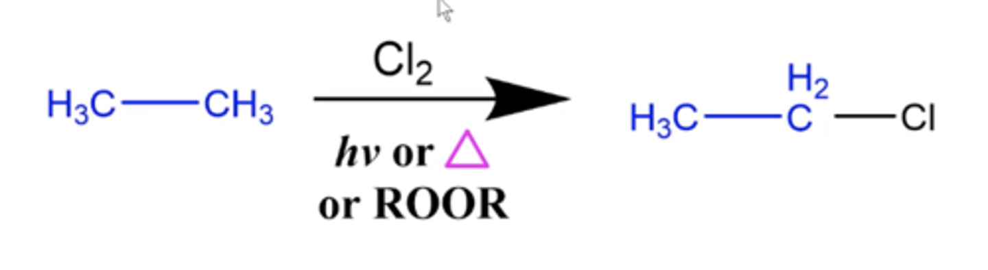 <p>Alkane halogenation reaction:</p><p>-Cl replaces one of the hydrogens on the alkane</p>