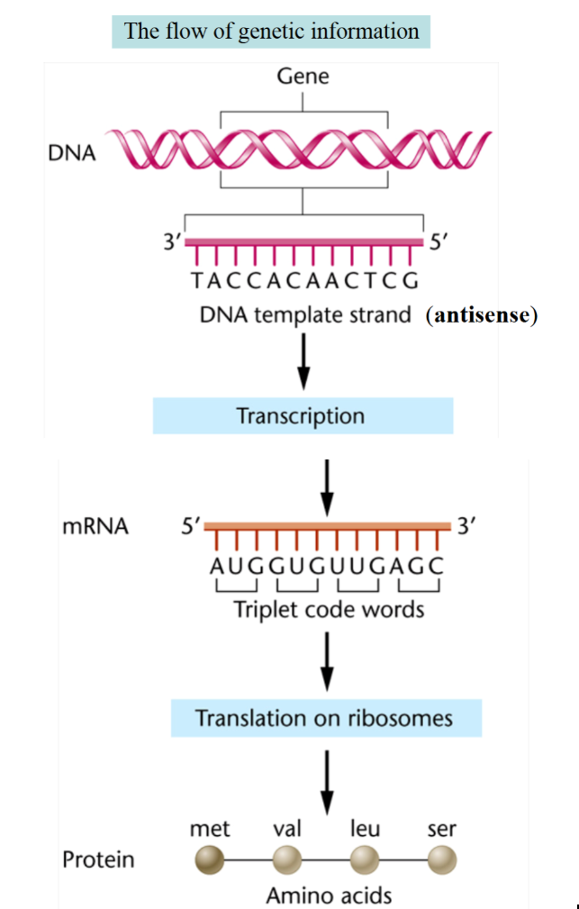 <p>what is this </p>