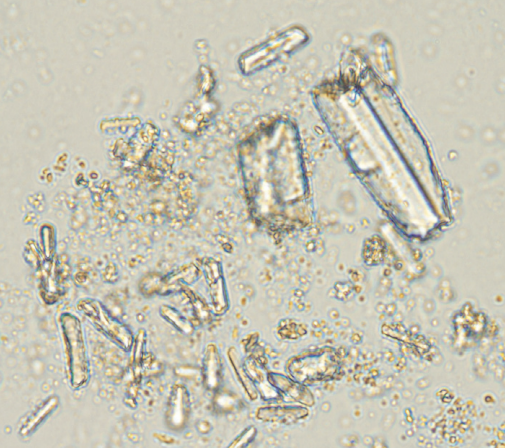 term image