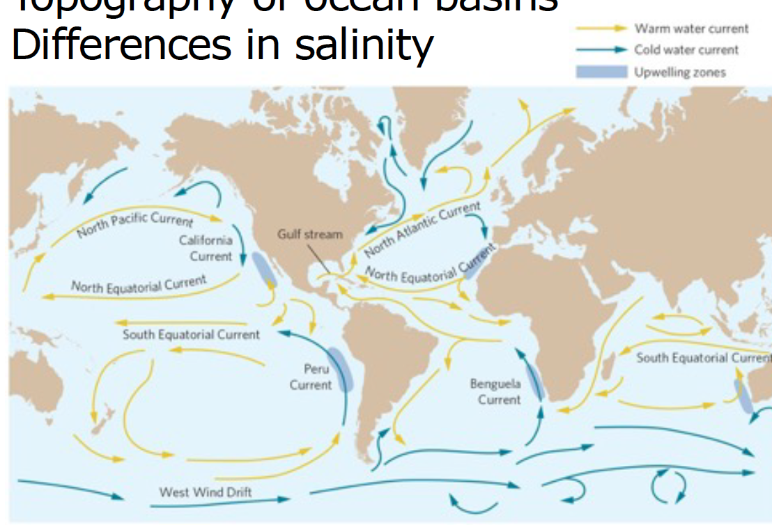 <p>unequal heating, coriolis effect, predominant wind directions, topography of ocean basins, diffs in salinity</p><p></p><p>we have 8cm more of water at equator</p><p>high heat moves to low heat</p><p></p><p>thermohaline circulation- global pattern of surface and deep water currents that flow as a result of variations in temp and salinity that change the density of H2O</p><ul><li><p>if some cities are on same latitude, why do they not have the same temp?→ warm water flows towards europe, cool water towards NA</p></li></ul>