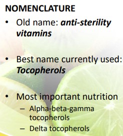 <p>VITAMIN E</p>