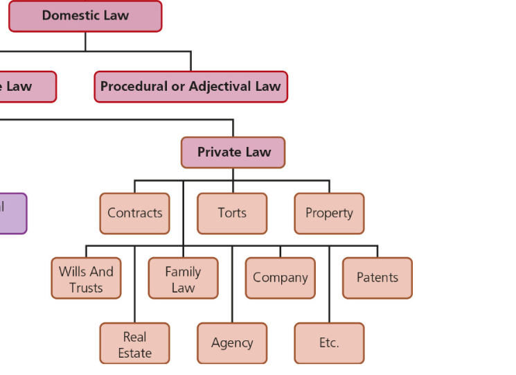 <p>Concerns relationships between individuals, often in the form of contracts and agreements (e.g., marriage, property, and wills, corporate).</p><ul><li><p>When there is an issue involving private law (i.e., wrongs against a person), the offending party pays for damages or otherwise compensates for the wrongdoing.</p></li><li><p>Traffic laws (speed) are developed at the provincial and municipal levels under private law, and offenders pay fines, receive demerit points, and/or pay compensation to victims.</p></li></ul><p></p>