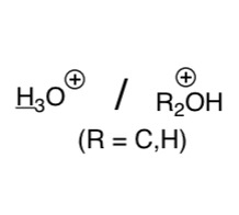 <p><span>Hydronium ion/protonated alcohol or ether</span></p>