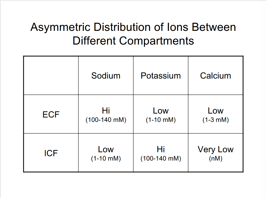 <p>Maintaining asymmetries between compartments is crucial because it allows the organisms to transport substances selectively between compartments.</p>