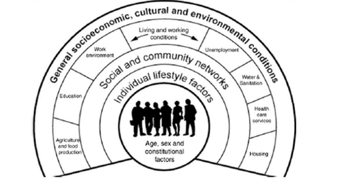 <p>Health disparities reflect fundamental decisions about how society is structured</p>