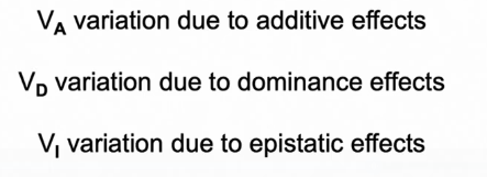 <p>additive, dominance, epistatic effects</p>