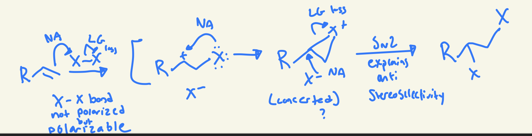 <p>double bond Nu attack on X at less substituted carbon cation and other X LG loss then lone pair on X attacks carbon cation then the free X- Nu attack more substituted carbon and LG loss of X+ and then creates anti product</p>
