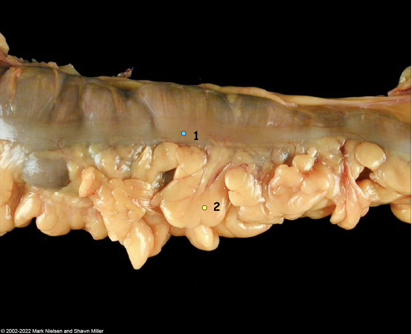 <p>What is number 1</p>