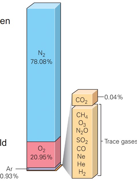 <ul><li><p>dry air:</p><ul><li><p>Mostly 78% nitrogen (N2)</p></li><li><p>21% oxygen (O2)</p></li></ul></li><li><p>water:</p><ul><li><p>percent varies depending on time and place</p></li><li><p>constantly changes phase to liquid and solid</p></li></ul></li><li><p>aerosols:</p><ul><li><p>liquid or solid particles</p></li><li><p>dust, soil, salt, ash, pollen, bacteria, mold</p></li><li><p>create haze when present with water vapor</p></li></ul></li></ul>