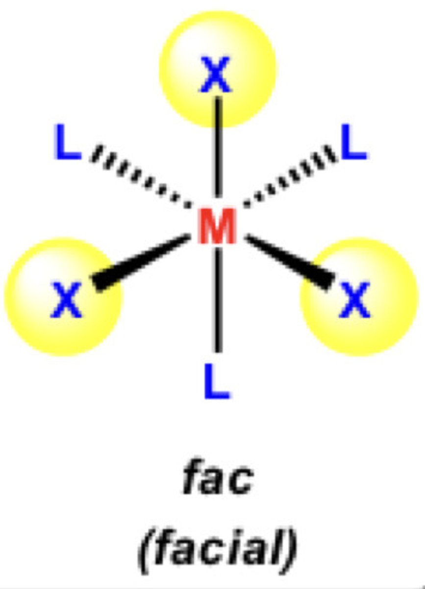 <p>facial</p>
