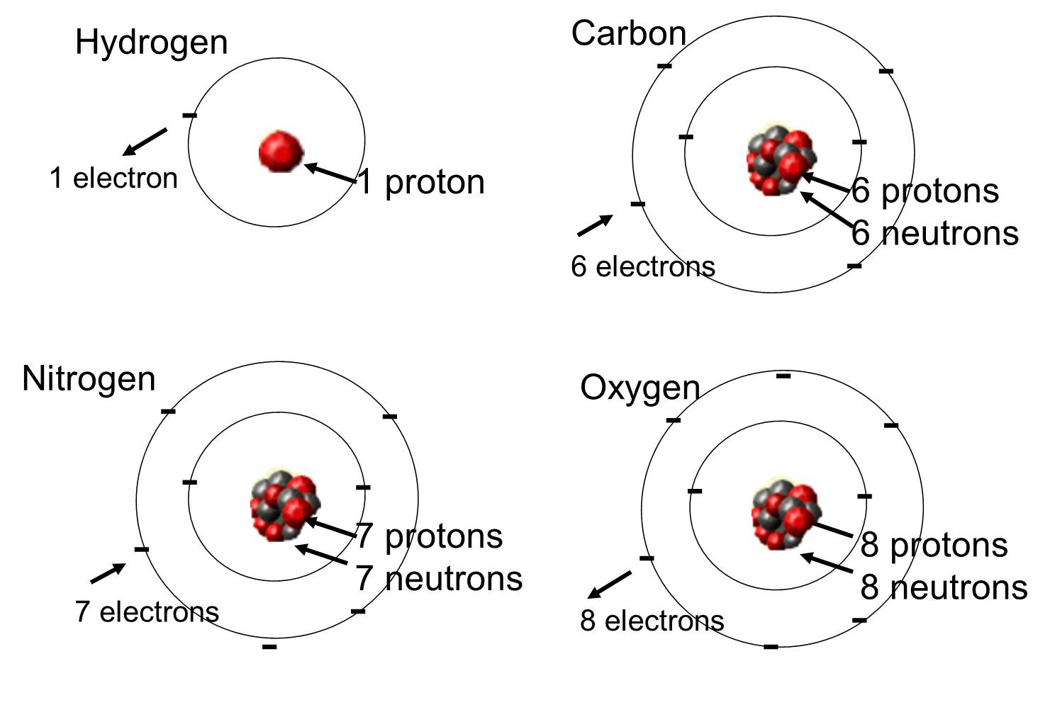 <p><mark data-color="red">key elements</mark> : carbon , hydrogen , oxygen and nitrogen</p>