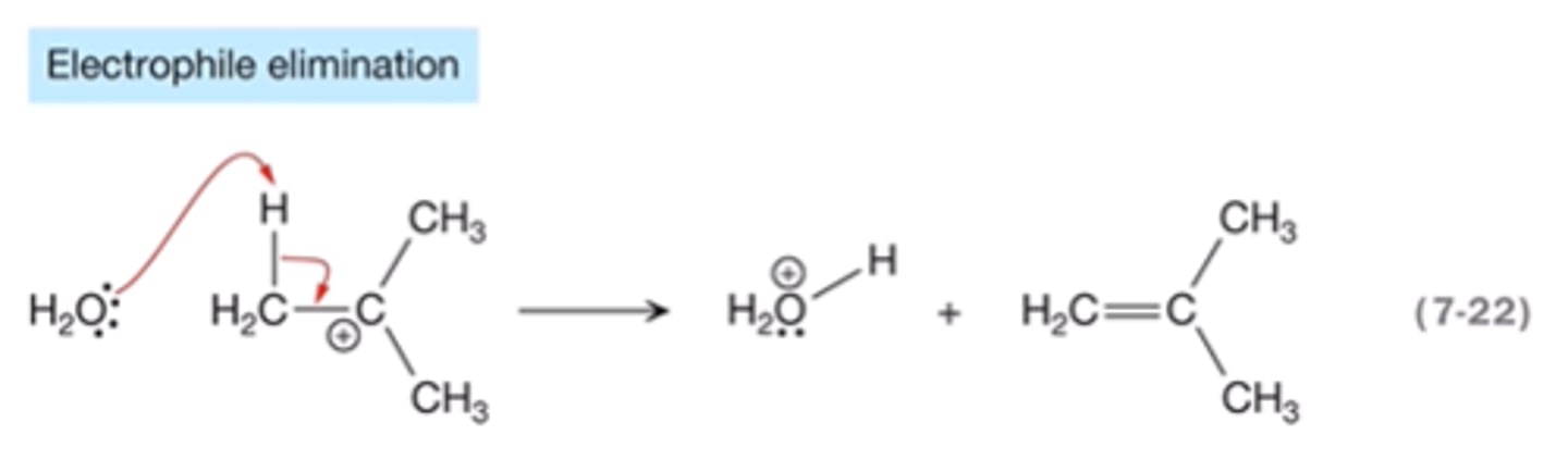 <p>eliminates a proton from a carbocation. Froms a new double or triple bond</p>