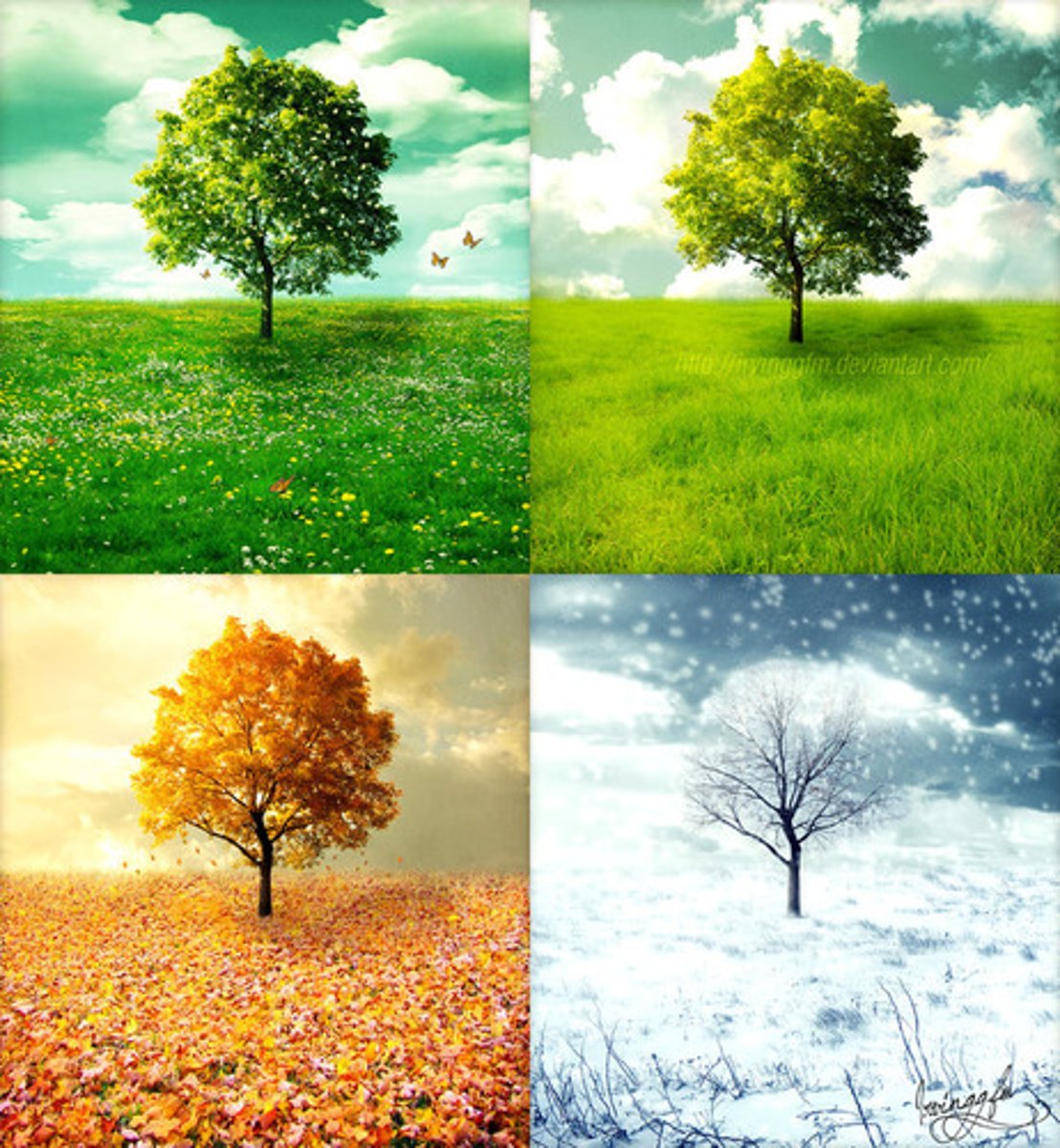<p>season</p>